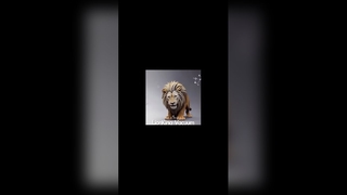 เคลือบสูญญากาศด้วยชั้นฟิล์มสีดำ