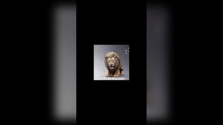 เคสโทรศัพท์พลาสติกสีน้ำเงินพร้อมจอแสดงผลเคลือบสูญญากาศ