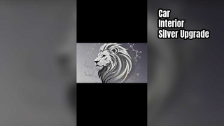 The white plastic parts inside the car are gilded with a metallic luster of silver