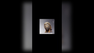 ขวดแก้วเครื่องสำอางเคลือบสูญญากาศ