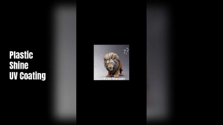 Vacuum coating of plastic products by uv line 