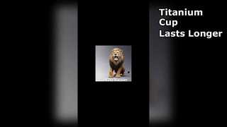 Stainless steel insulated cup with titanium coating