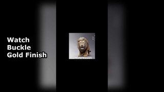 Watch buckle coated with titanium gold plating