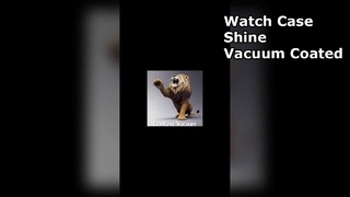 Display of the finished product after the watch case and strap are vacuum-coated with a film layer.